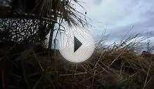 GoPro HD Казахстан - охота на гуся